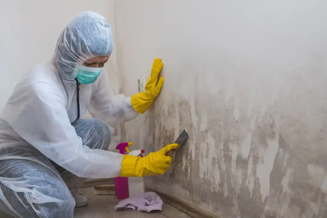 water damage restoration service Trimmier Estates